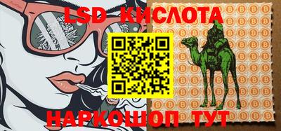 трава Новозыбков