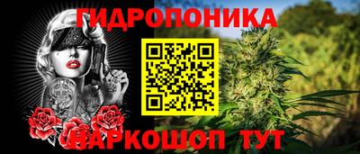трава Новозыбков