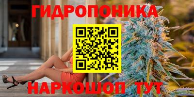 a pvp Новокубанск